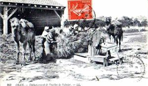Images d'Algerie 057c